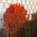 Ibis Budget Les Bains 2* Thonon-les-Bains